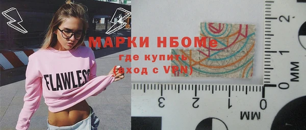 хмурый Аркадак