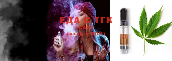хмурый Аркадак
