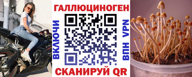 Галлюциногенные грибы GOLDEN TEACHER  Александровск-Сахалинский 